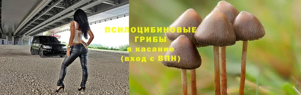 гидропоника Абаза
