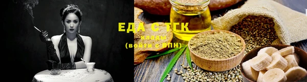 индика Абинск