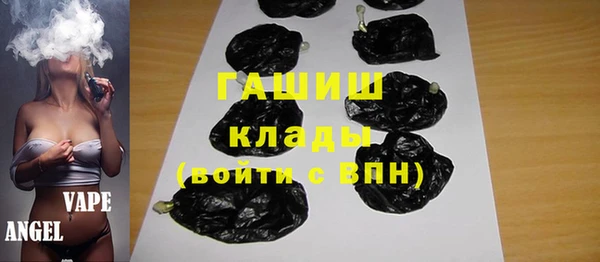 индика Абинск