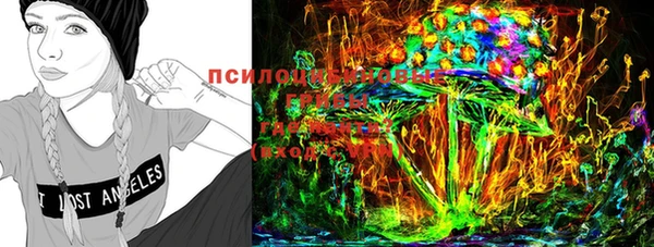 гидропоника Абаза