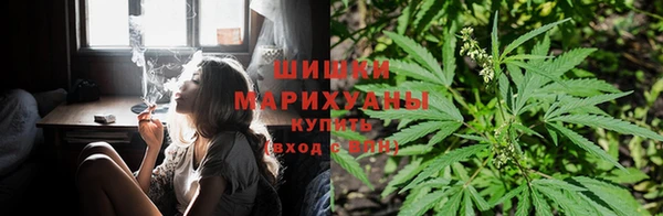 гидропоника Абаза