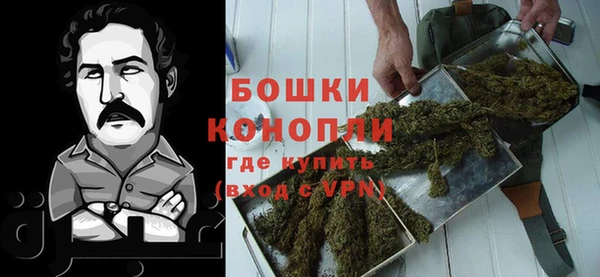 ГАЛЛЮЦИНОГЕННЫЕ ГРИБЫ Нея