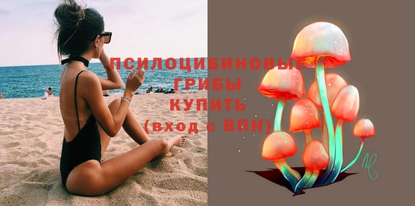 гидропоника Абаза