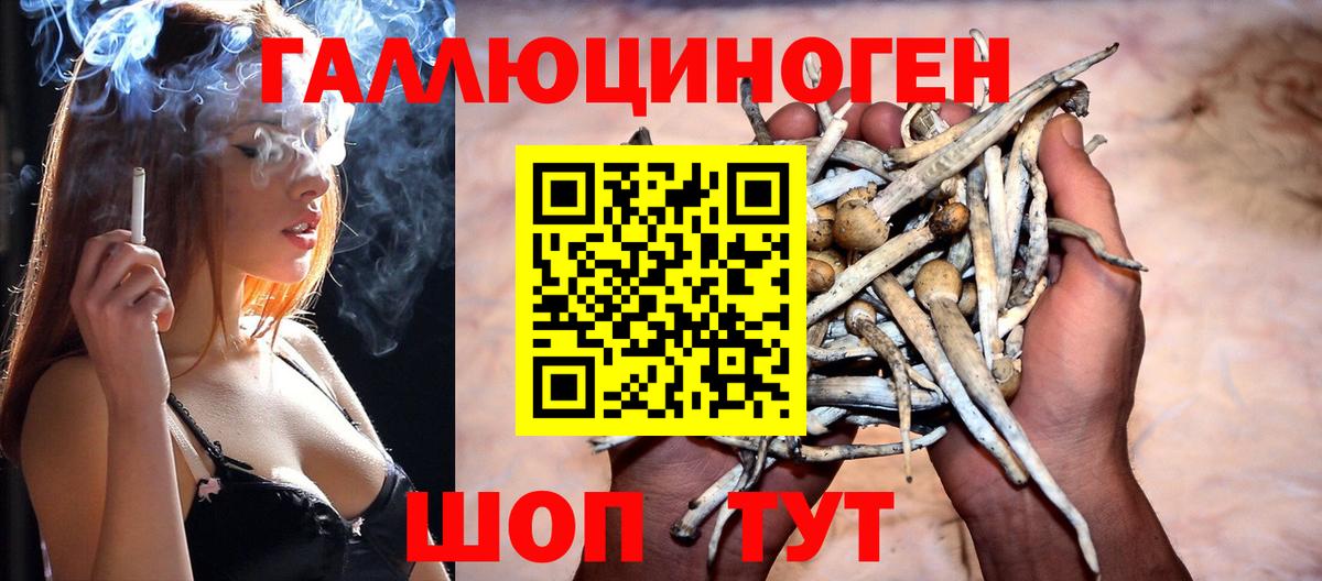 Галлюциногенные грибы GOLDEN TEACHER Кисловодск