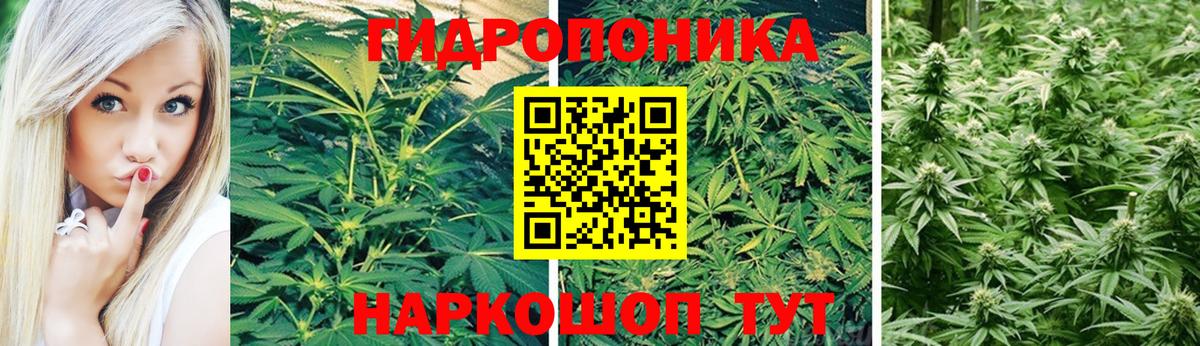 Канабис MAZAR  Конопля AK-47  Вход с VPN  Каннабис Bruce Banner  Каннабис Ganja  Кисловодск 